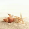Leinwandbild Seestern, beige, 50x50 cm DD123270