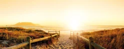 Leinwandbild Sonnenuntergang, gold, 100x40 cm DD123213