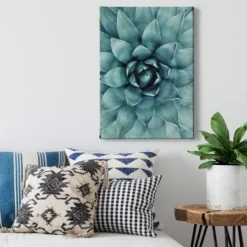 Leinwandbild Sukkulente, blaugrün, 50x70 cm DD123119