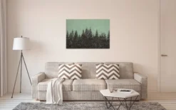 Leinwandbild Tannenwald, dunkelgrün, 90x60 cm DD120385