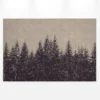 Leinwandbild Tannenwald, schwarz, 90x60 cm DD120384