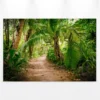 Leinwandbild Tropischer Waldweg, grün, 90x60 cm DD120308
