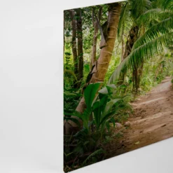 Leinwandbild Tropischer Waldweg, grün, 90x60 cm DD120308