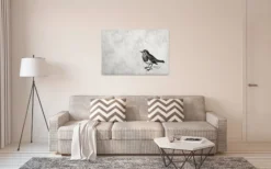Leinwandbild Vogel, grau, 90x60 cm DD120367