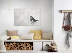 Leinwandbild Vogel, grau, 90x60 cm DD120367