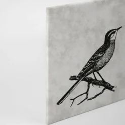 Leinwandbild Vogel, grau, 90x60 cm DD120366