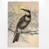 Leinwandbild Vogel, schwarz, 60x90 cm DD120376
