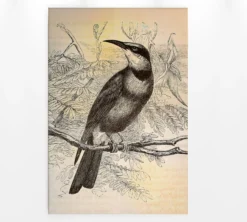 Leinwandbild Vogel, schwarz, 60x90 cm DD120376