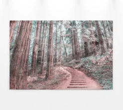 Leinwandbild Wald, braun, 90x60 cm DD120305