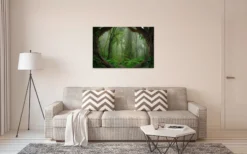 Leinwandbild Wald, grün, 90x60 cm DD120307
