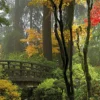 Leinwandbild Wald, grün, 100x40 cm DD123204