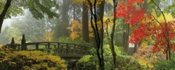 Leinwandbild Wald, grün, 100x40 cm DD123204