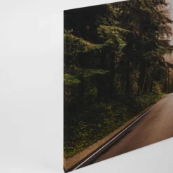 Leinwandbild Waldlandschaft, grün, 90x60 cm DD120309