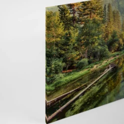 Leinwandbild Waldlandschaft, 90x60 cm DD120300