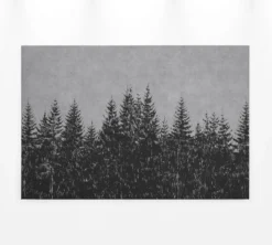 Leinwandbild Wald, schwarz, 90x60 cm DD120386