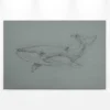 Leinwandbild Wal, grau, 90x60 cm DD120381