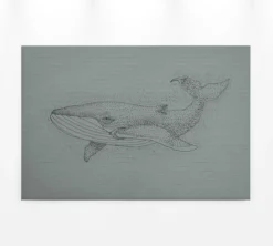 Leinwandbild Wal, grau, 90x60 cm DD120381