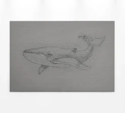 Leinwandbild Wal, grau, 90x60 cm DD120380