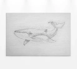 Leinwandbild Wal, schwarz, 90x60 cm DD120379
