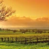 Leinwandbild Weinberg, orange, 100x40 cm DD123205