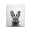 Leinwand Black Baby Bunny 40 x 50 cm