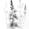 Leinwand Blumen SW III 40 x 50 cm