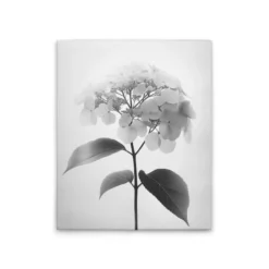 Leinwand Blumen SW II 40 x 50 cm