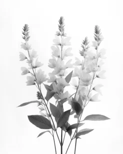 Leinwand Blumen SW I 40 x 50 cm