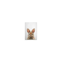 Leinwand Brown Baby Bunny 30 x 45 cm
