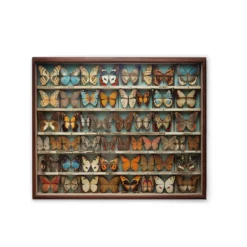Leinwand Butterfly Box 50 x 40 cm