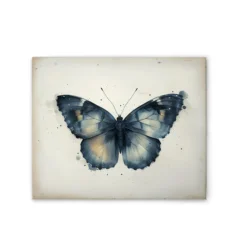 Leinwand Butterfly 50 x 40 cm