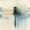 Leinwand Dragonfly 50 x 40 cm