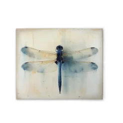 Leinwand Dragonfly 50 x 40 cm