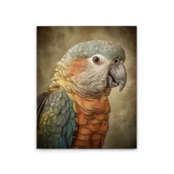 Leinwand Fantasy Parrot Orange 40 x 50 cm