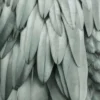 Leinwand Feathers II 30 x 45 cm