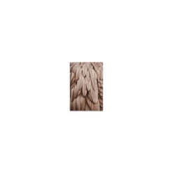 Leinwand Feathers I 30 x 45 cm
