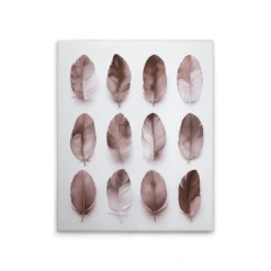 Leinwand Feathers Mauve 40 x 50 cm