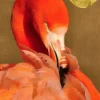 Leinwand Flamingo in Sun 30 x 45 cm