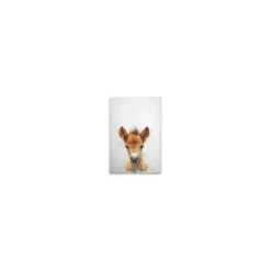 Leinwand Foal 30 x 45 cm