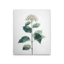 Leinwand Hortensie Blanc 40 x 50 cm