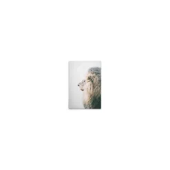 Leinwand Lion In Snow 30 x 45 cm
