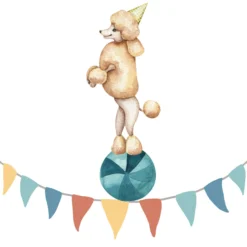 Leinwand Make Circus III 30 x 30 cm