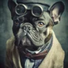 Leinwand Mr.Bulldog 40 x 50 cm