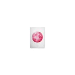 Leinwand Pink Moon 30 x 45 cm