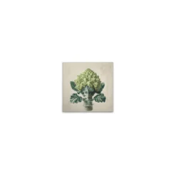 Leinwand Romanesco Green 30 x 30 cm