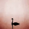 Leinwand Swan Lake 30 x 45 cm