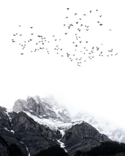 Leinwand The Mountains 40 x 50 cm