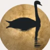 Leinwand The Swan II 30 x 45 cm