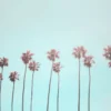 Leinwand Tropical Trees 45 x 30 cm