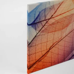 Livingwalls Leinwand, Blatt, Blattadern, 90x60 cm DD120272